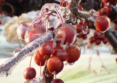 Icing on the Crabapples