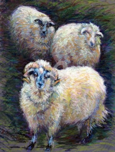 Three Sheep in Winter Cover