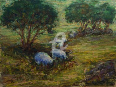 Pastoral Landscape with Sheep pastel over watercolor.